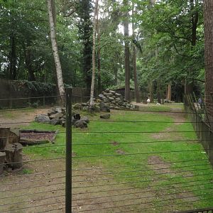 Rocky mountain goat enclosure