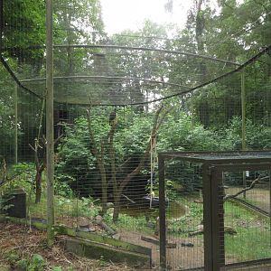Caracara aviary