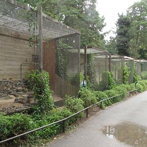 Small mammal and bird house