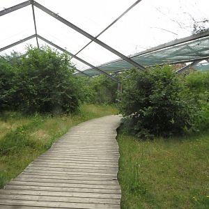 Boddenaviary