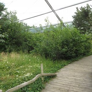 Boddenaviary