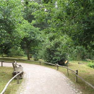 German forest aviary