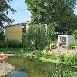 Flamingo Aviary