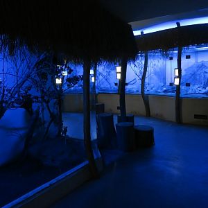 Africa at night in blue