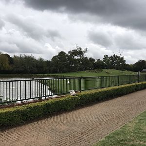 Cape Eland and Waterbuck enclosure (Tragelaphus oryx oryx,	Kobus ellipsiprymnus ellipsiprymnus)