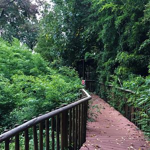 Forest Floor Section