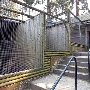 Bird of prey aviaries