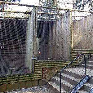 Bird of prey aviaries