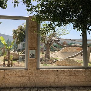 Upcoming sun bear exhibit