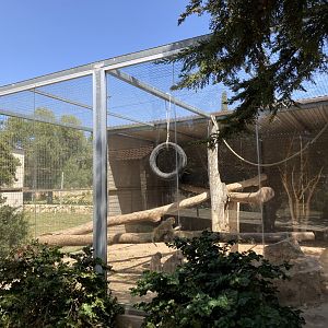 Typical monkey exhibit