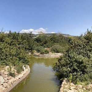 Small part of waterfowl area