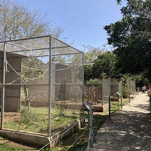 Typical path and aviary row