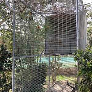 Typical small parrot aviary