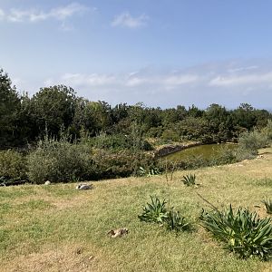 Small part of waterfowl area