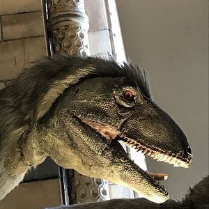 Deinonychus model closeup