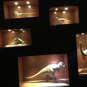 Dinosaur dioramas