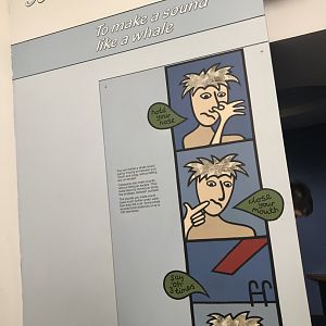 Funny interaction sign