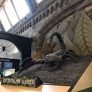 Scorpion animatronic