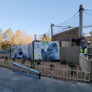 11/4/2022 Gorilla Grove