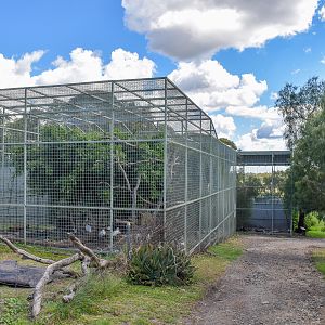Waterbird Aviary