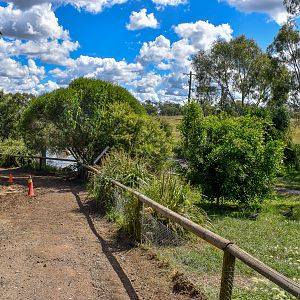 Pelican/Swan Enclosure