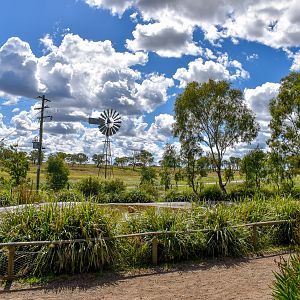 Pelican/Swan Enclosure