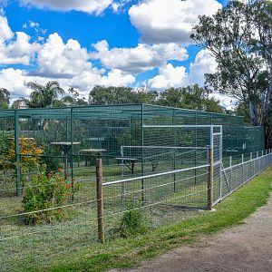 Sri Lankan Leopard Enclosures