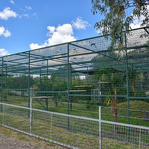 Sri Lankan Leopard Enclosures