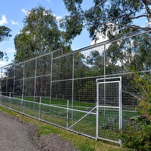 Sumatran Tiger Enclosure