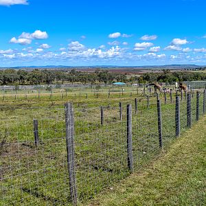 Giraffe/Addax Enclosure