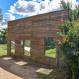 Original Serval Enclosure