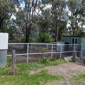 Pygmy Hippo Enclosure