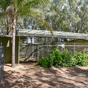 Malleefowl/Possum Aviary