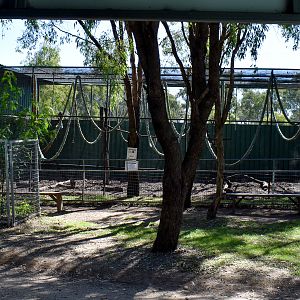 Capuchin Enclosure