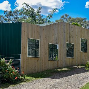 New Tamarin Enclosures