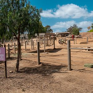 Nikita Kahn Rhino Rescue Center