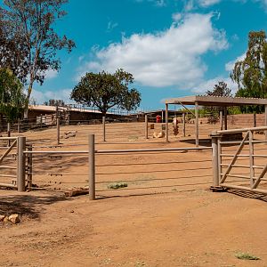 Nikita Kahn Rhino Rescue Center