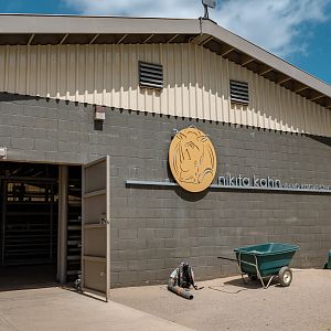 Nikita Kahn Rhino Rescue Center