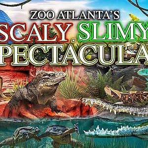 Scaly, Slimy, Spectacular | Zoo Tours