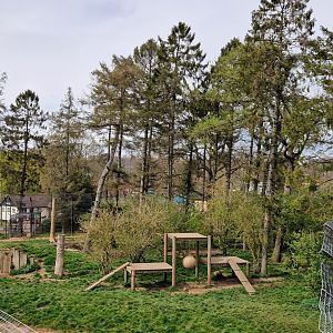Siberian Tiger exhibit