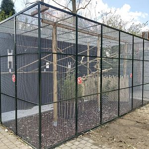 White cockatoo enclosure