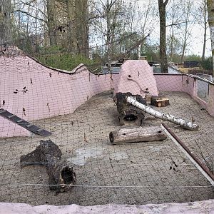 Fennec fox enclosure