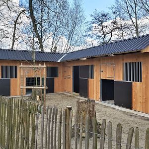 Alpaca stables