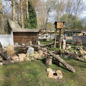 Raccoon and striped skunk enclosure