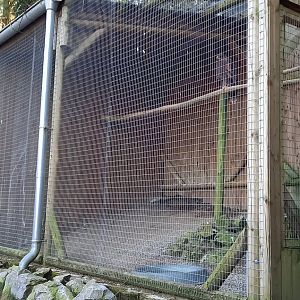 More Bird of prey-aviaries