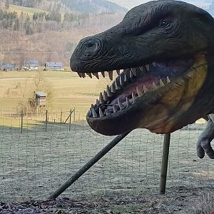 One of the Dinosaurs