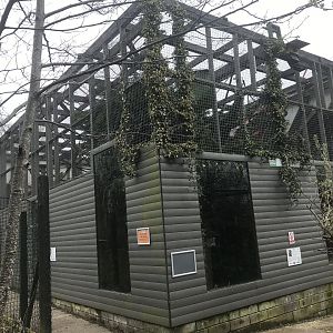 Lar gibbon enclosure