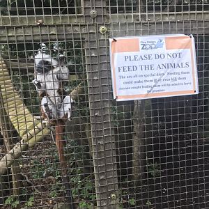 Please don’t feed the animals