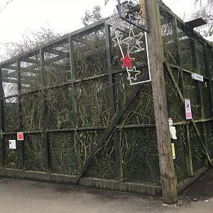 Common marmoset enclosure