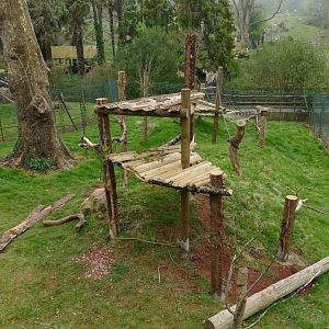 King Colobus enclosure, April 2022